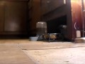 GTS ties up tiny hiding under bed & warms him with Feet POV