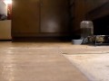 GTS ties up tiny hiding under bed & warms him with Feet POV