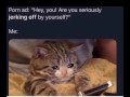 Funny Porn Memes You Will Explode To
