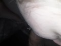 Gagging sloopy blowjob for daddy, ima good kitty facial ending