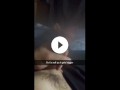 My big fat texan cock