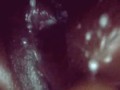 Dripping (self fuck)