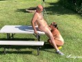 UNEDITED VERSION - RISKY OUTDOOR BLOWJOB FULL NUDE FROM MISSY AND GEORGE