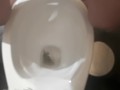 Compilation 5 videos I can also pee standing like a guy