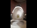 Compilation 5 videos I can also pee standing like a guy