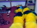Pawing off