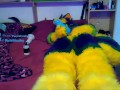 Pawing off