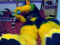 Pawing off
