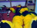 Pawing off
