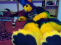 Pawing off