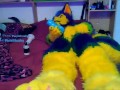 Pawing off