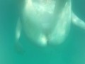 Bellissima sirenetta sott'acqua - NoemiAna