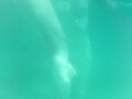 Bellissima sirenetta sott'acqua - NoemiAna