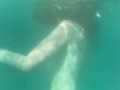 Bellissima sirenetta sott'acqua - NoemiAna
