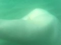 Bellissima sirenetta sott'acqua - NoemiAna