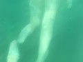 Bellissima sirenetta sott'acqua - NoemiAna