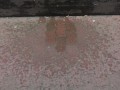 Risky pee in Public - german amateure - Theodora Einhorn