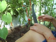 sucked and fucked myself with a cucumber. finished with a squirt