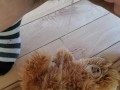Another Stuffed Toy Pee