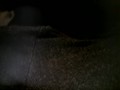 Rubbing clit sitting on couch