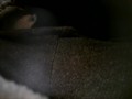 Rubbing clit sitting on couch
