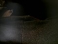 Rubbing clit sitting on couch