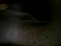 Rubbing clit sitting on couch