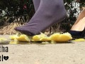 Summer Citrus Squishing