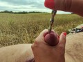 Beautiful public urethral plug in field - real sounding outdoor cum 4K
