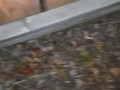 Girls Late Night Piss On Fence By Public Walkway