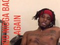 Nigga Back 