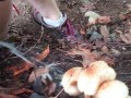 Pissing On Mushrooms ;)
