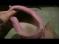 Miss Wagon Vegan Fetish - Cushino Crush - Mi sfogo su di te calpestandoti