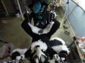 Murrsuiter gets pegged hard by a dominatrix in a swing