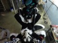 Murrsuiter gets pegged hard by a dominatrix in a swing