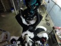 Murrsuiter gets pegged hard by a dominatrix in a swing