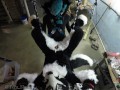 Murrsuiter gets pegged hard by a dominatrix in a swing