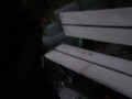 Public Piss On The Park Bench
