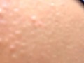 Giantess Ass Worship and Crush Preview