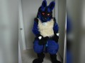 Lucario is Horny for YOU 