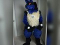Lucario is Horny for YOU 