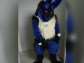 Lucario is Horny for YOU 