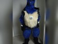 Lucario is Horny for YOU 