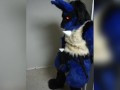 Lucario is Horny for YOU 