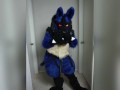 Lucario is Horny for YOU 