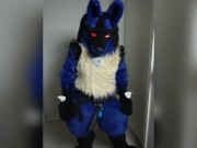 Lucario is Horny for YOU 