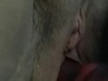 Amateur Short Bad Dragon Small Cole
