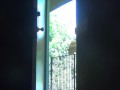 A titty treat for my delivery guy.