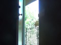 A titty treat for my delivery guy.