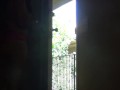 A titty treat for my delivery guy.
